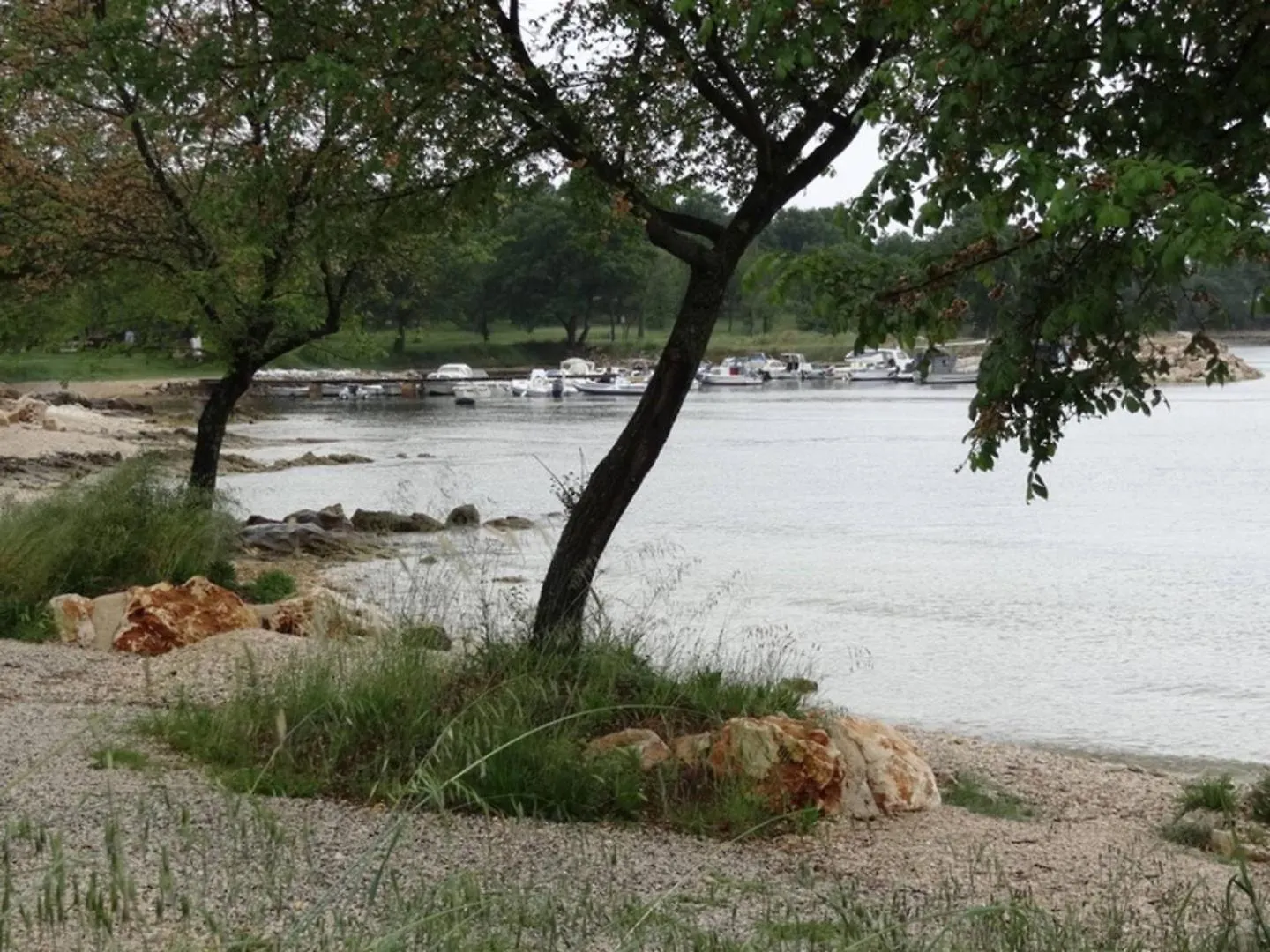 Apartments Ritosa Spadici Beach Area 波雷奇 招待所